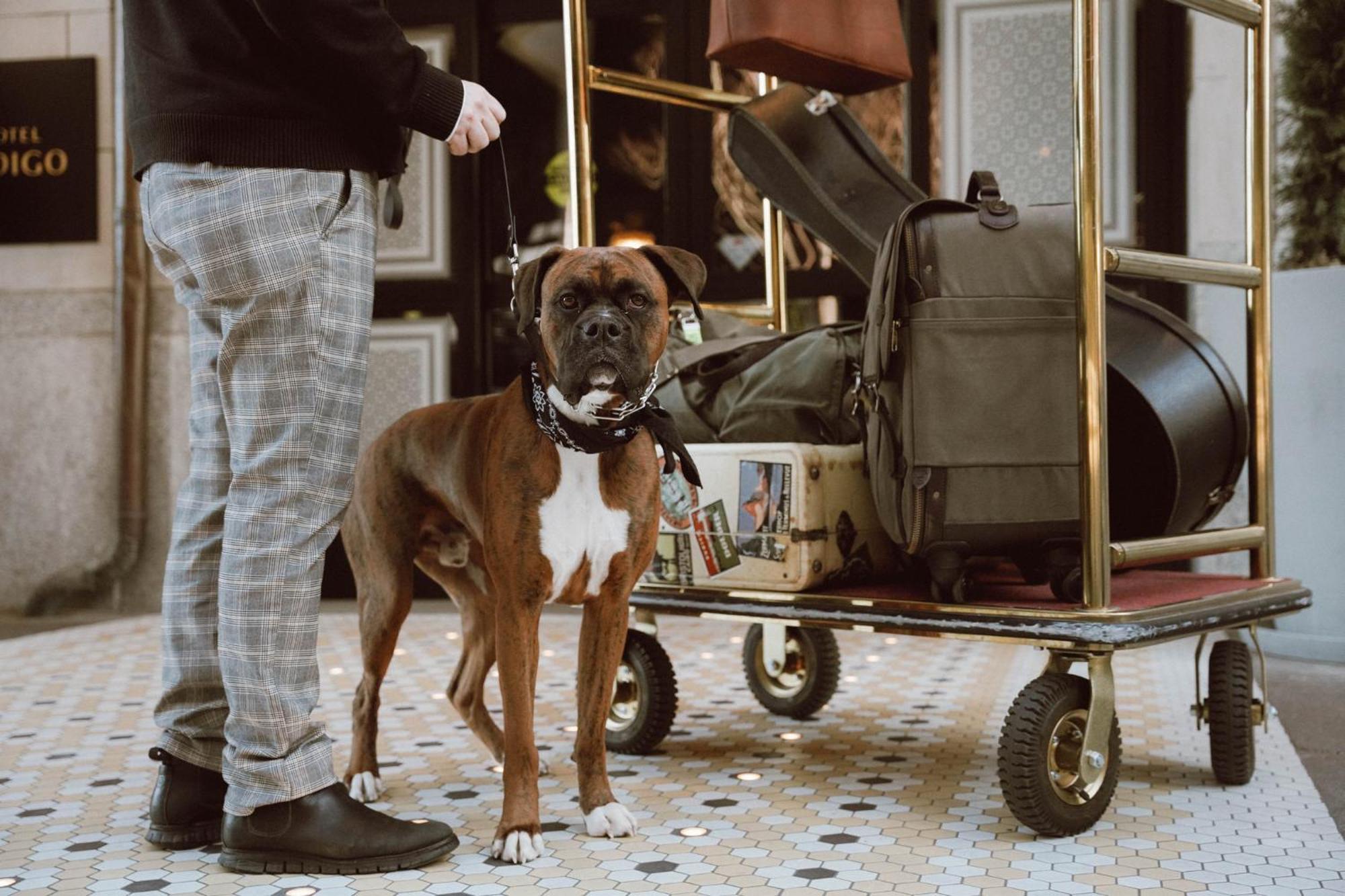 Hotel Indigo Nashville - The Countrypolitan Εξωτερικό φωτογραφία